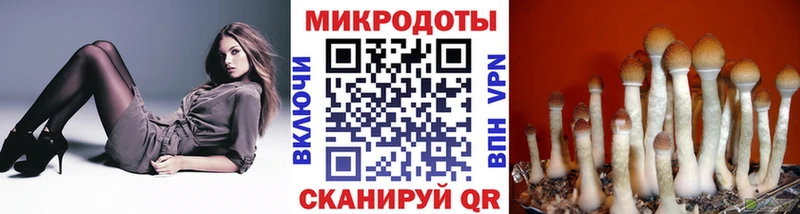 MEGA рабочий сайт  Артёмовский  Псилоцибиновые грибы прущие грибы 